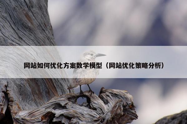 网站如何优化方案数学模型（网站优化策略分析）
