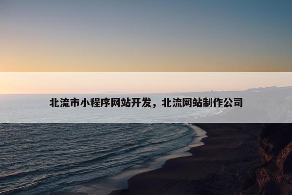 北流市小程序网站开发，北流网站制作公司