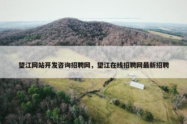 望江网站开发咨询招聘网，望江在线招聘网最新招聘