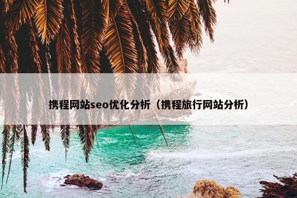 携程网站seo优化分析（携程旅行网站分析）