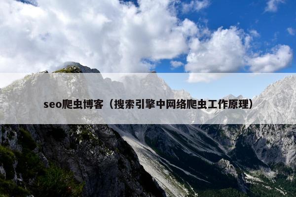 seo爬虫博客（搜索引擎中网络爬虫工作原理）