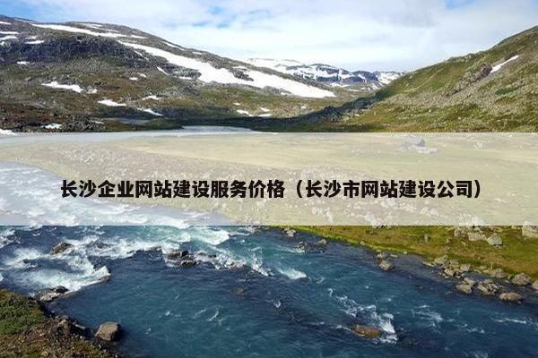 长沙企业网站建设服务价格（长沙市网站建设公司）