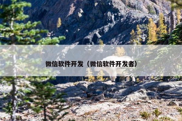 微信软件开发（微信软件开发者）