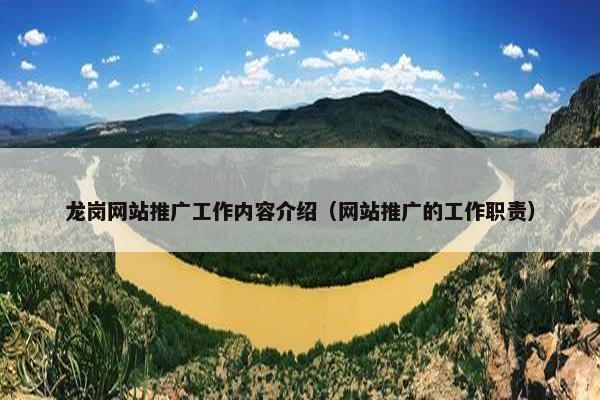 龙岗网站推广工作内容介绍（网站推广的工作职责）