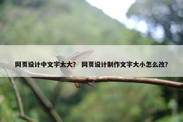 网页设计中文字太大？ 网页设计制作文字大小怎么改？