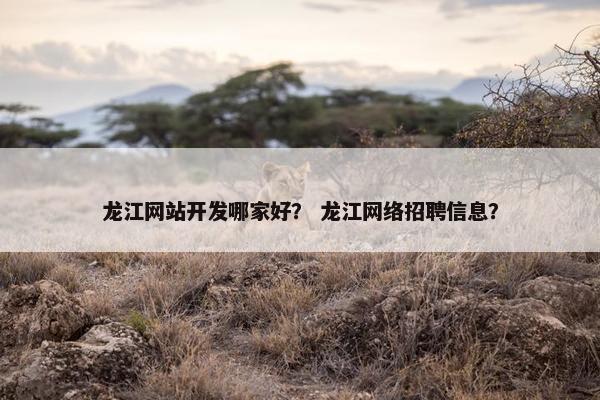 龙江网站开发哪家好？ 龙江网络招聘信息？