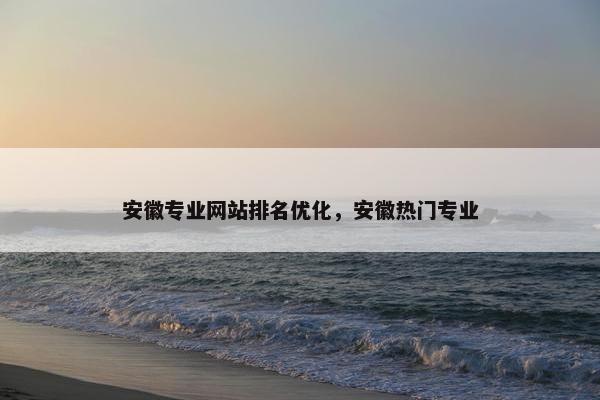 安徽专业网站排名优化，安徽热门专业