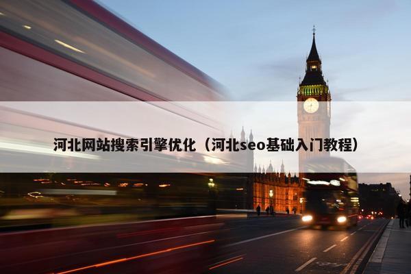 河北网站搜索引擎优化（河北seo基础入门教程）