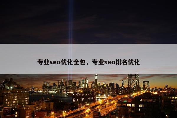 专业seo优化全包，专业seo排名优化