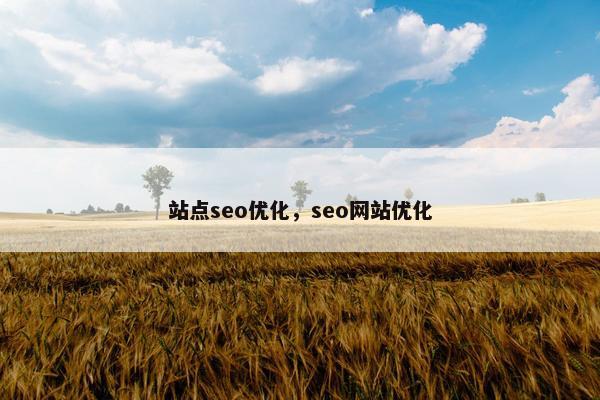 站点seo优化，seo网站优化