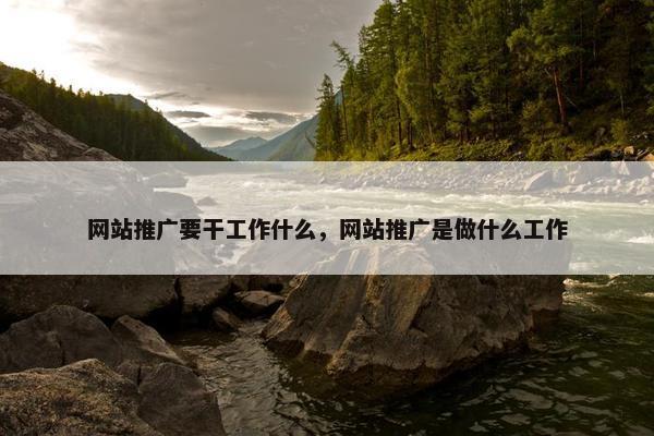 网站推广要干工作什么，网站推广是做什么工作