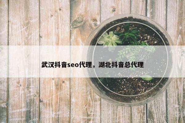 武汉抖音seo代理，湖北抖音总代理