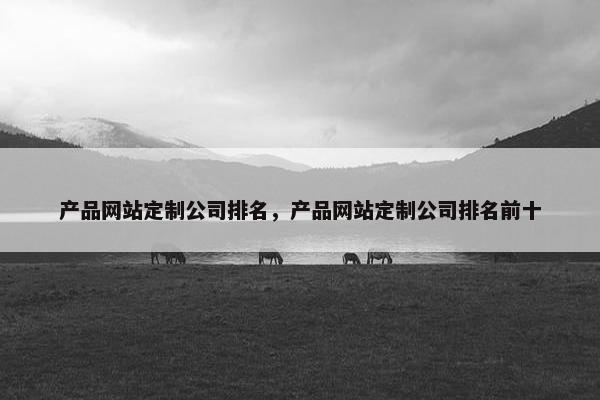 产品网站定制公司排名，产品网站定制公司排名前十