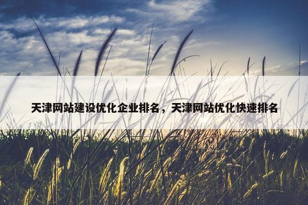 天津网站建设优化企业排名，天津网站优化快速排名