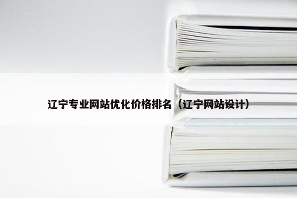 辽宁专业网站优化价格排名（辽宁网站设计）