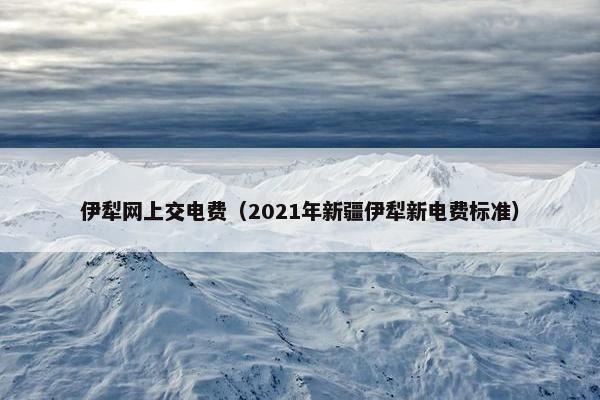 伊犁网上交电费（2021年新疆伊犁新电费标准）
