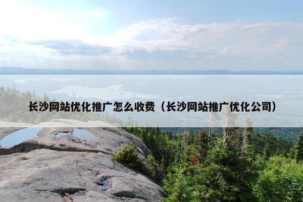 长沙网站优化推广怎么收费（长沙网站推广优化公司）