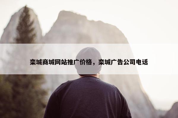 栾城商城网站推广价格，栾城广告公司电话