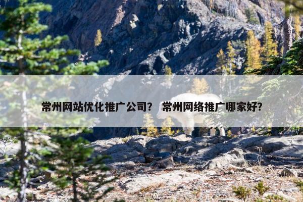 常州网站优化推广公司？ 常州网络推广哪家好？