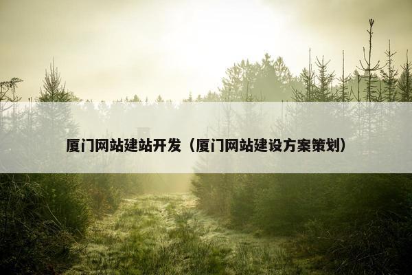 厦门网站建站开发（厦门网站建设方案策划）
