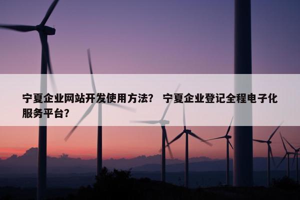 宁夏企业网站开发使用方法？ 宁夏企业登记全程电子化服务平台？