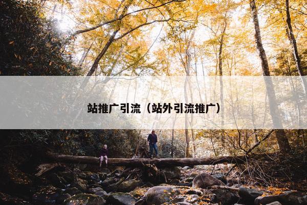 站推广引流（站外引流推广）