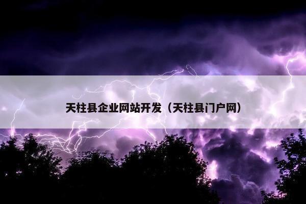 天柱县企业网站开发（天柱县门户网）