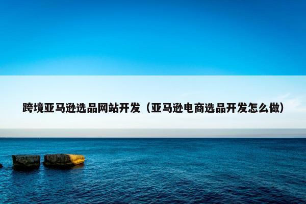 跨境亚马逊选品网站开发（亚马逊电商选品开发怎么做）