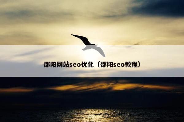 邵阳网站seo优化（邵阳seo教程）