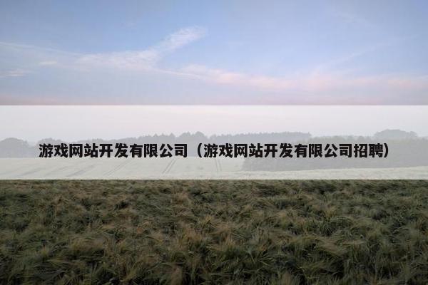 游戏网站开发有限公司（游戏网站开发有限公司招聘）