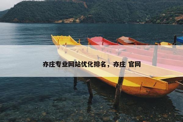 亦庄专业网站优化排名，亦庄 官网