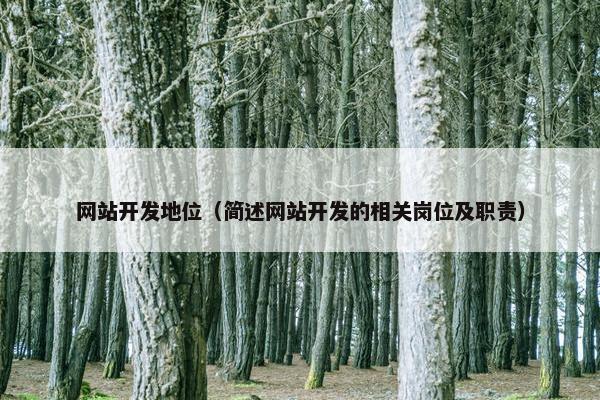 网站开发地位（简述网站开发的相关岗位及职责）
