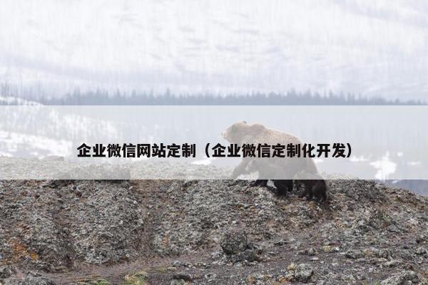 企业微信网站定制（企业微信定制化开发）