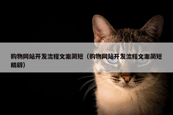 购物网站开发流程文案简短（购物网站开发流程文案简短精辟）