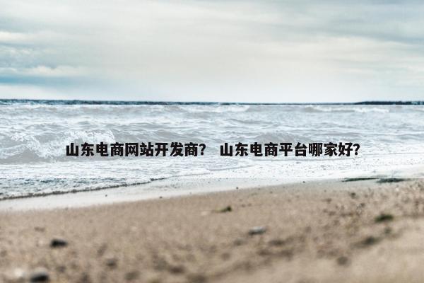 山东电商网站开发商？ 山东电商平台哪家好？