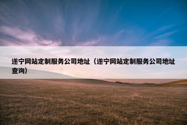 遂宁网站定制服务公司地址（遂宁网站定制服务公司地址查询）