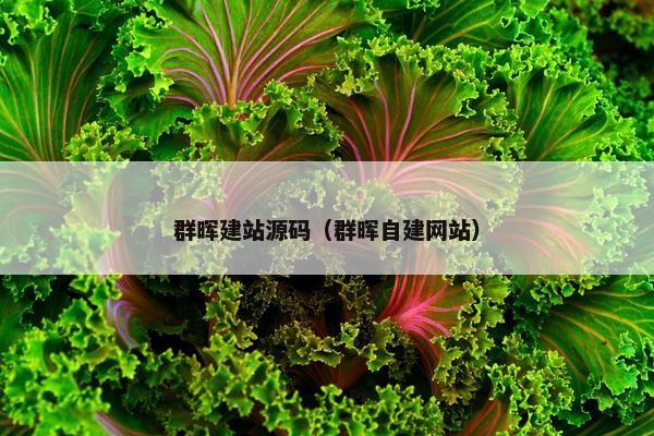 群晖建站源码（群晖自建网站）