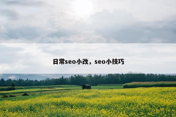 日常seo小改，seo小技巧