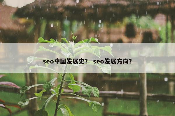seo中国发展史？ seo发展方向？