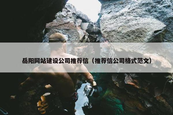 岳阳网站建设公司推荐信（推荐信公司格式范文）