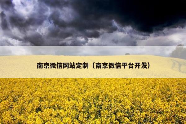 南京微信网站定制（南京微信平台开发）
