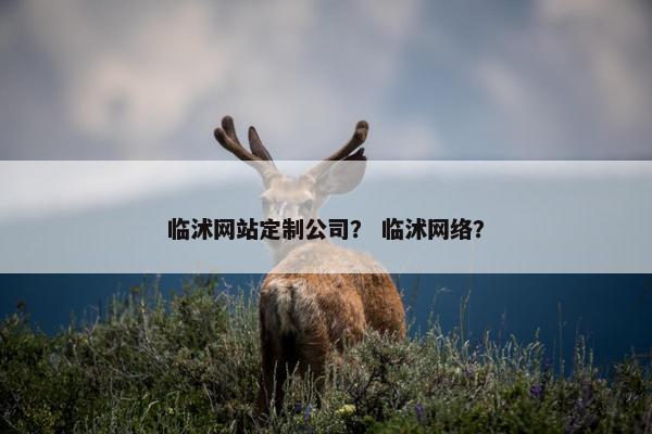 临沭网站定制公司？ 临沭网络？
