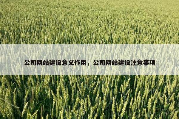 公司网站建设意义作用，公司网站建设注意事项