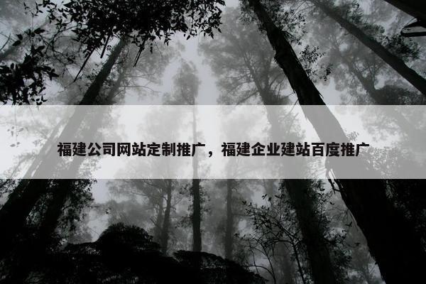 福建公司网站定制推广，福建企业建站百度推广