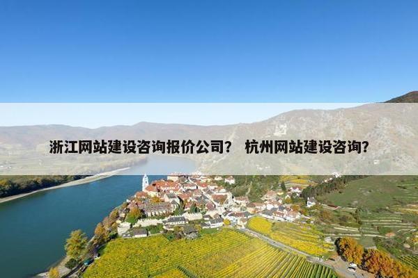 浙江网站建设咨询报价公司？ 杭州网站建设咨询？