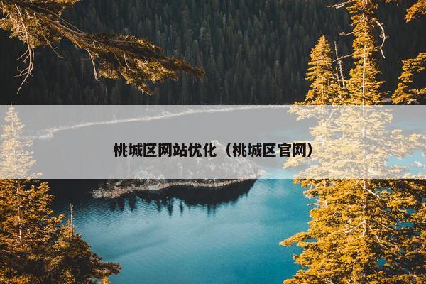 桃城区网站优化（桃城区官网）