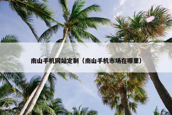 南山手机网站定制（南山手机市场在哪里）
