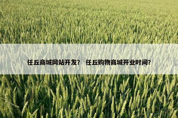 任丘商城网站开发？ 任丘购物商城开业时间？