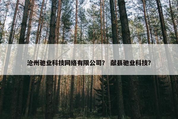 沧州驰业科技网络有限公司？ 献县驰业科技？