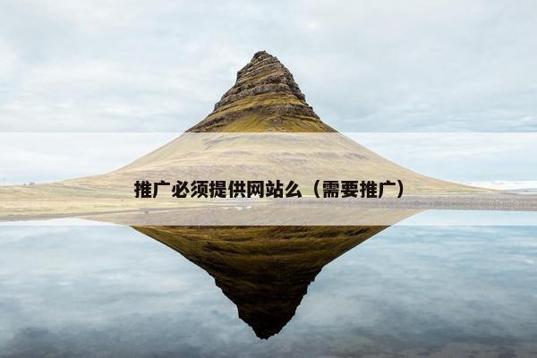 推广必须提供网站么（需要推广）